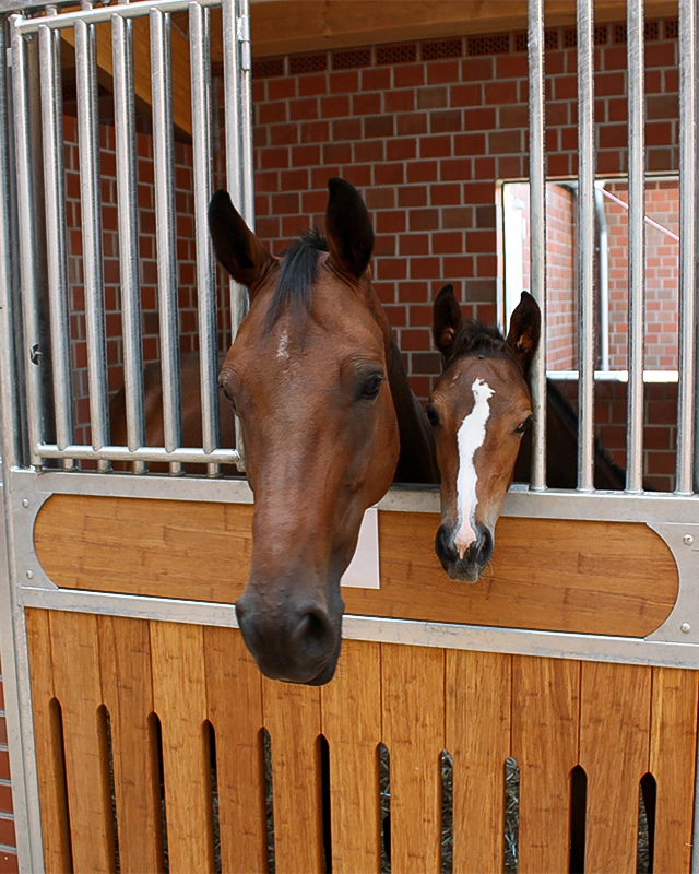 Look-out in the grill element of Laake's Rossi Stall Front