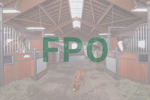 Horse-Stall-Front-FPO-Gallery4