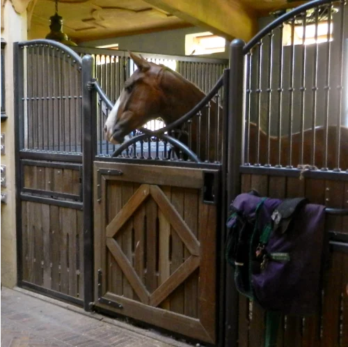 Laake_Horse-Stall-Front-Enca-example-lookout