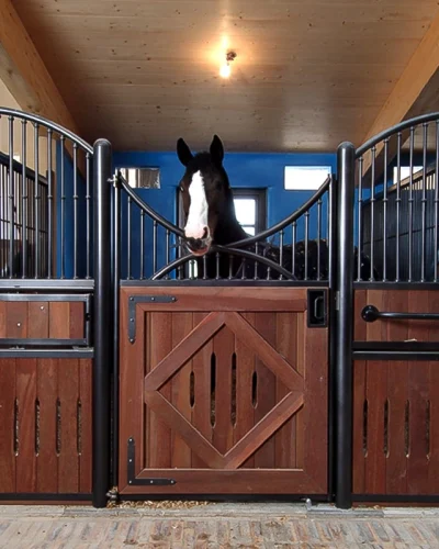 Laake_Horse-Stall-Front-Enca-look-out