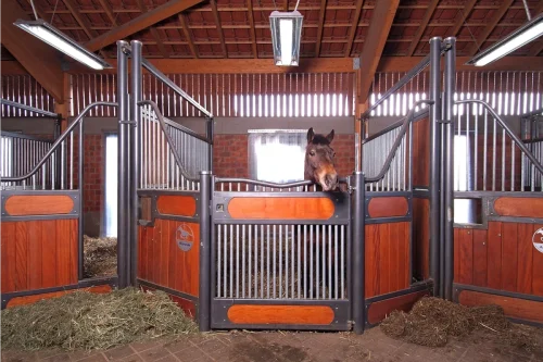 Laake_Horse-Stall-Front-Gut-Roest-gallery-4