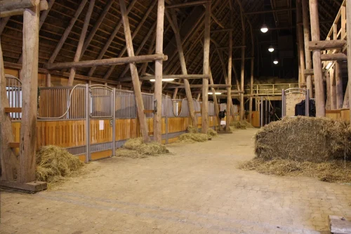 Laake_Horse-Stall-Front-Gut-Roest-gallery-8