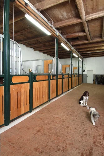 Laake_Horse-Stall-Front-Gut-Roest-gallery-9