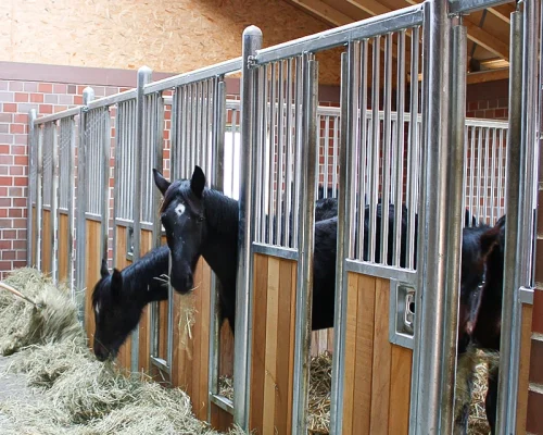 Laake_Horse-Stall-Front-Laufstall-2