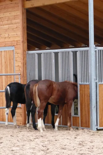 Laake_Horse-Stall-Front-Laufstall-gallery-5