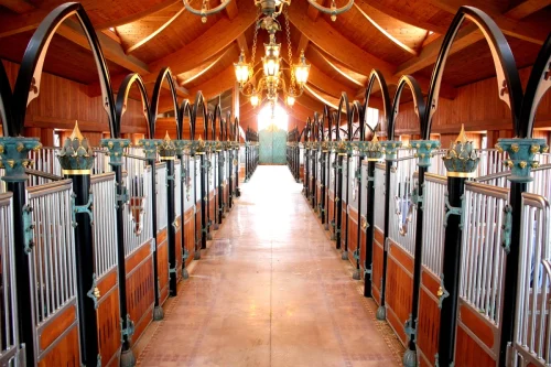 Laake_Horse-Stall-Front-Lebenstraum-gallery-2