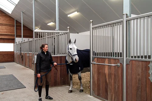 Laake's Merlin Stall Front - 8