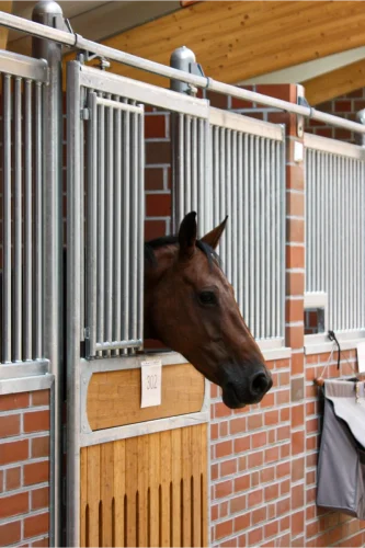 Look-outs on Laake's Rossi Stall Front