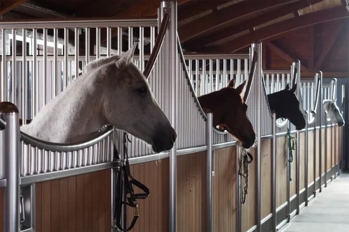 Laake_Horse-Stall-Front-Stortebecker-example-1
